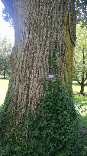 Museum «Morven Museum & Garden», reviews and photos, 55 Stockton St, Princeton, NJ 08540, USA