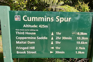 Cummins Spur