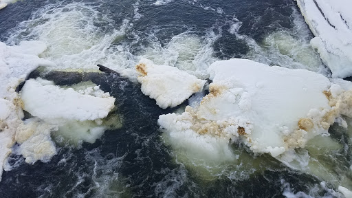 Park «Coon Rapids Dam Regional Park», reviews and photos, 10360 W River Rd, Brooklyn Park, MN 55444, USA
