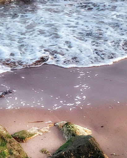 National Park «Gateway National Recreation Area», reviews and photos, 26 Hudson Rd, Highlands, NJ 07732, USA