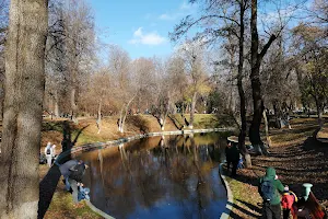 Kiseleff Park Lake image