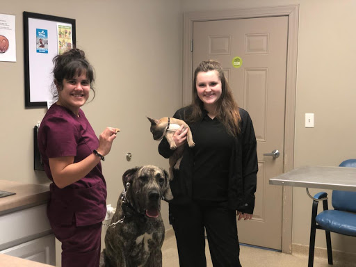 Farm & Family Veterinary Service image