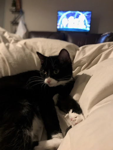 Donut Shop «Puffy Cream Donuts Plus», reviews and photos, 3390 Coachman Rd, Eagan, MN 55121, USA