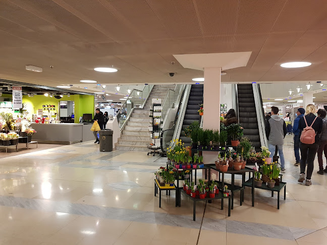 Rezensionen über Les Cygnes Centre Commercial in Genf - Supermarkt