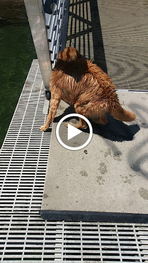 Park «Angle Lake Park», reviews and photos, 19408 International Blvd, SeaTac, WA 98188, USA