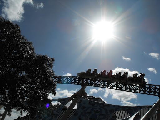 Roller Coaster «Cheetah Hunt», reviews and photos, 10165 N Malcolm McKinley Dr, Tampa, FL 33612, USA