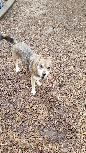 Park «Sellwood Park», reviews and photos, SE Miller St & SE 7th Ave, Portland, OR 97202, USA