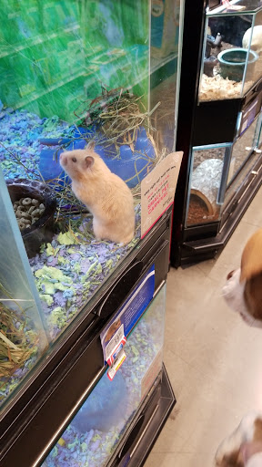 Pet Store «PetSmart», reviews and photos, 2891 Ygnacio Valley Rd, Walnut Creek, CA 94598, USA