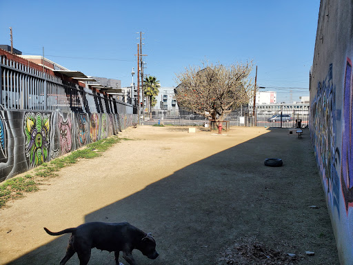 Art District Dog Park