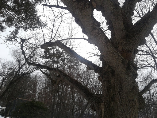 Historical Place «Locust Grove Estate», reviews and photos, 2683 South Rd, Poughkeepsie, NY 12601, USA