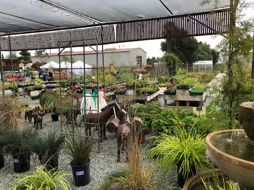 Gift Shop «Alladin Nursery & Gift Shop», reviews and photos, 2905 Freedom Blvd, Watsonville, CA 95076, USA