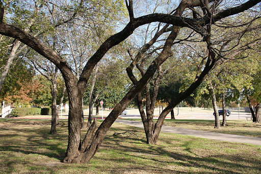 Park «Cravens Park», reviews and photos, 400 Cravens Park Dr, Arlington, TX 76018, USA
