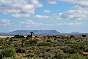 Australian Arid Lands Botanic Garden Boardwalk image