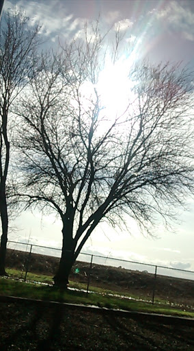 Grocery Store «Mar-Val», reviews and photos, 517 S Tehama St, Willows, CA 95988, USA