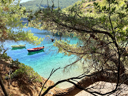 Orlandusa beach'in fotoğrafı biraz temiz temizlik seviyesi ile
