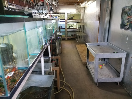 Pet Supply Store «Oddball Pets and Aquariums», reviews and photos, 262 Joseph St, Pittsburgh, PA 15227, USA