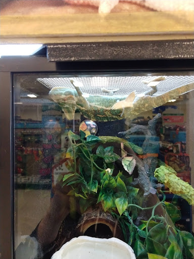 Pet Supply Store «PetSmart», reviews and photos, 30515 Av. de Las Flores, Rancho Santa Margarita, CA 92688, USA