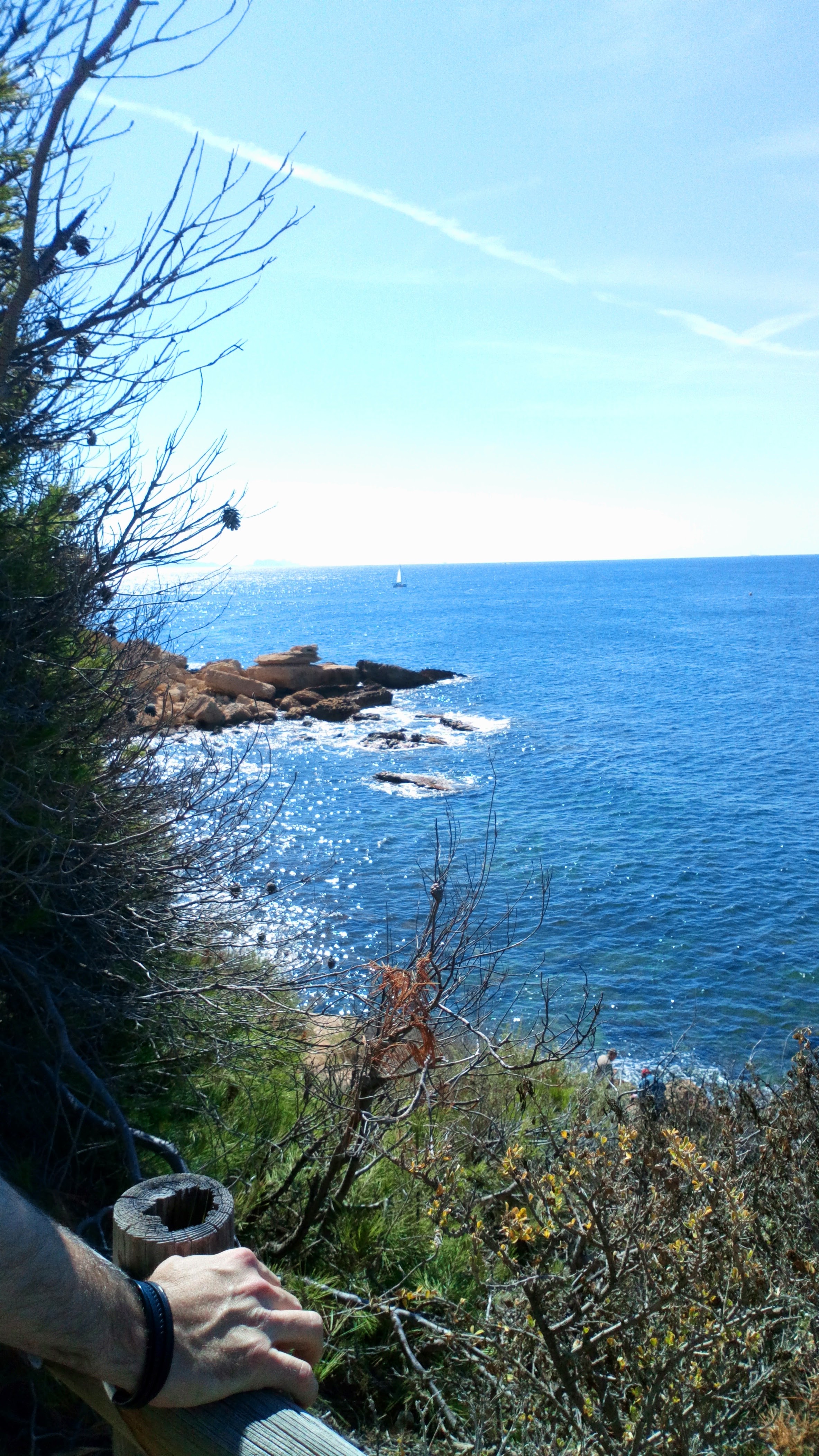 Photo n° 8 de l'avis de Laetitia.a fait le 17/08/2020 à 13:47