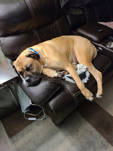 Auto Insurance Agency «Sig Insurance Agencies: Cheshire», reviews and photos