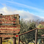 Photo n°1 de l'avis de Lady.o fait le 25/11/2019 à 15:12 sur le  Trattoria Teresa Di Bressan Loretta à Cinto Euganeo