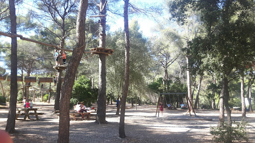 attractions CassisForest Cassis