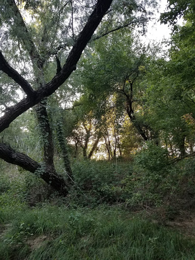 Nature Preserve «Jackson Nature Park», reviews and photos, 9284 County Rd 401, Stockdale, TX 78160, USA