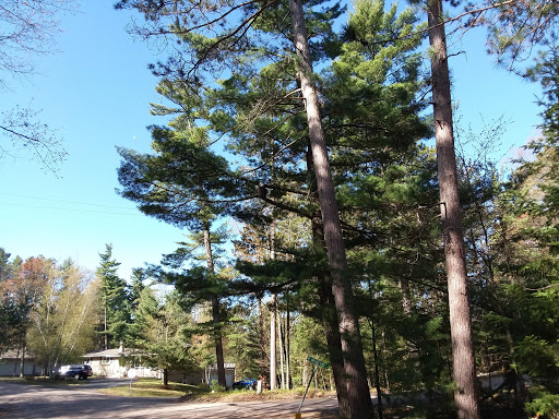 Supermarket «Save More Marketplace», reviews and photos, 8522 US-51, Minocqua, WI 54548, USA