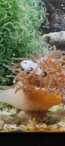 Pet Supply Store «Pickering Valley Feed & Farm Store», reviews and photos, 305 Gordon Dr, Exton, PA 19341, USA