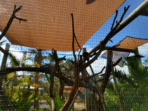 Zoo «Brevard Zoo», reviews and photos, 8225 N Wickham Rd, Melbourne, FL 32940, USA
