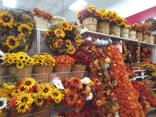 Craft Store «Michaels», reviews and photos, 971 Harley Strickland Blvd, Orange City, FL 32763, USA