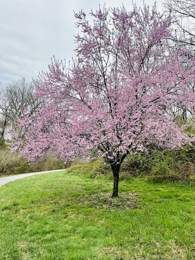 Park «Florence Nature Park», reviews and photos, 7200 Parkview Dr, Florence, KY 41042, USA