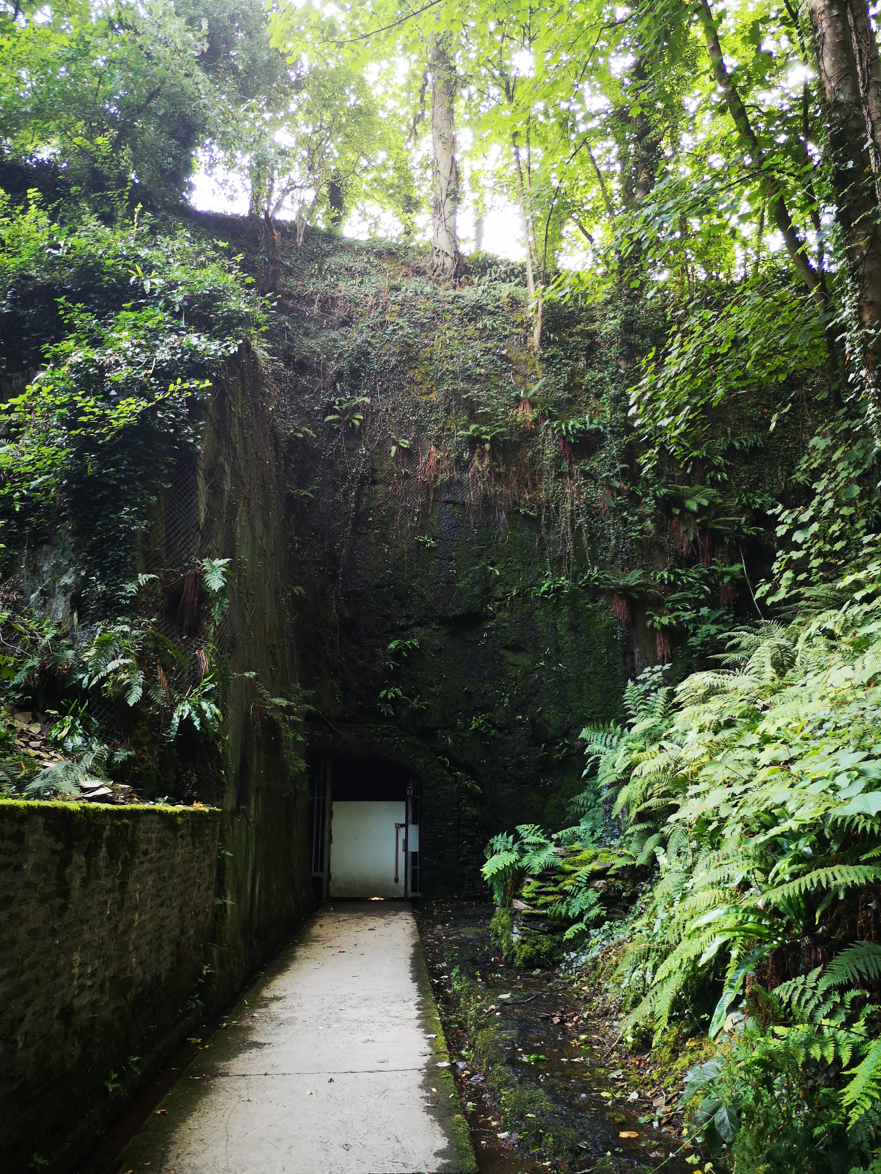 Photo n° 5 de l'avis de Syndie.m fait le 26/08/2021 à 21:17