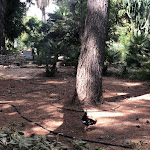 Photo n°15 de l'avis de Demetrio.r fait le 04/08/2021 à 08:59 sur le  Hotel Parco Delle Fontane à Syracuse