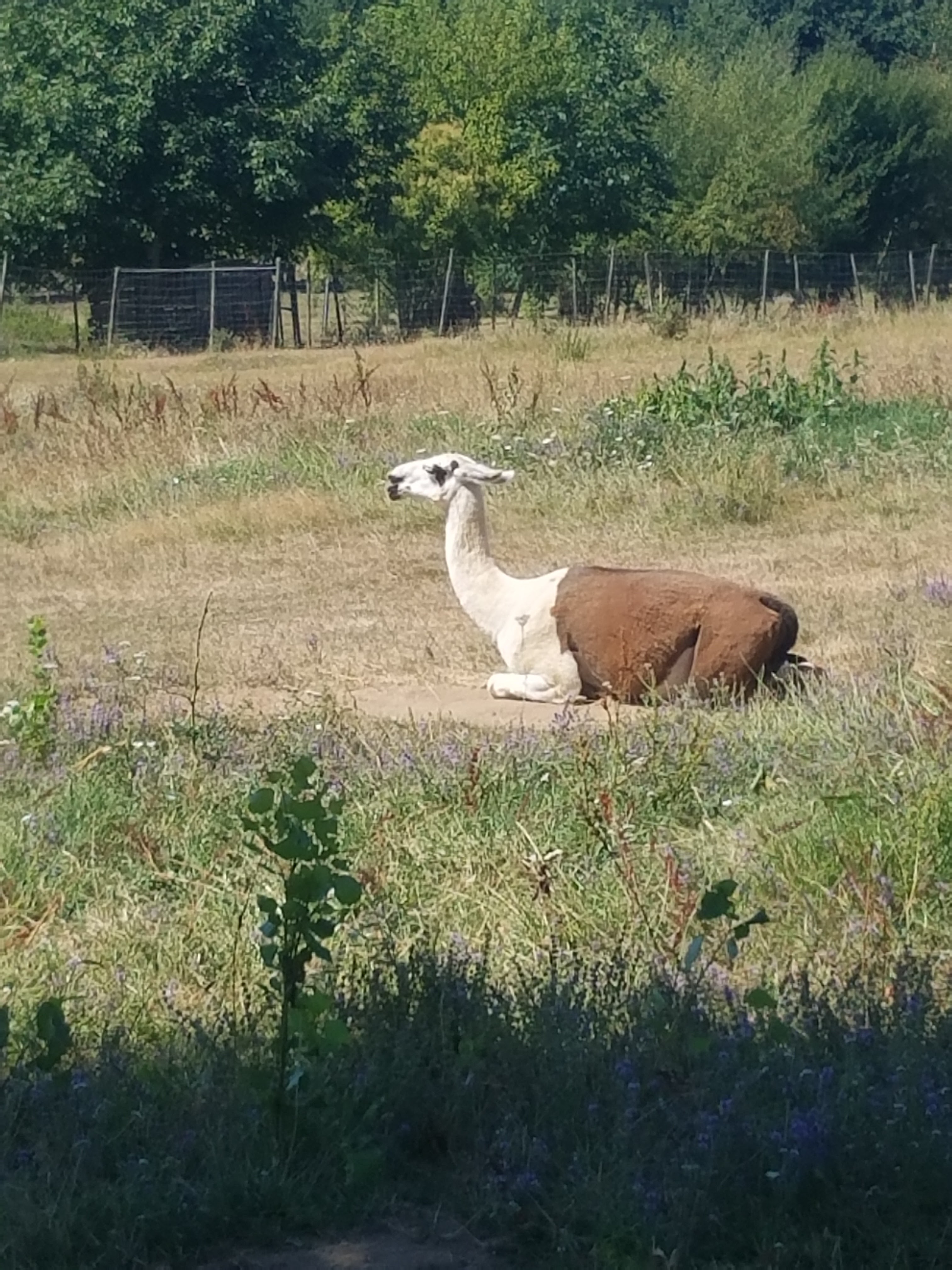 Photo n° 7 de l'avis de Jenny.o fait le 03/08/2018 à 15:13
