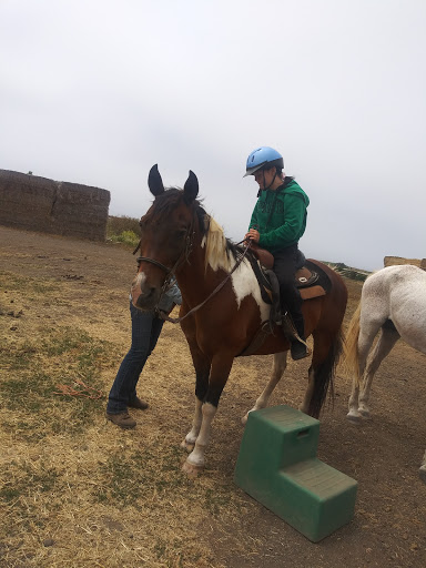 Stable «Ross Ranch», reviews and photos, 28300 Philo Greenwood Rd, Elk, CA 95432, USA