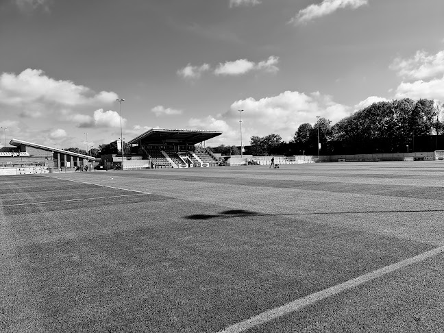 afctotton.com