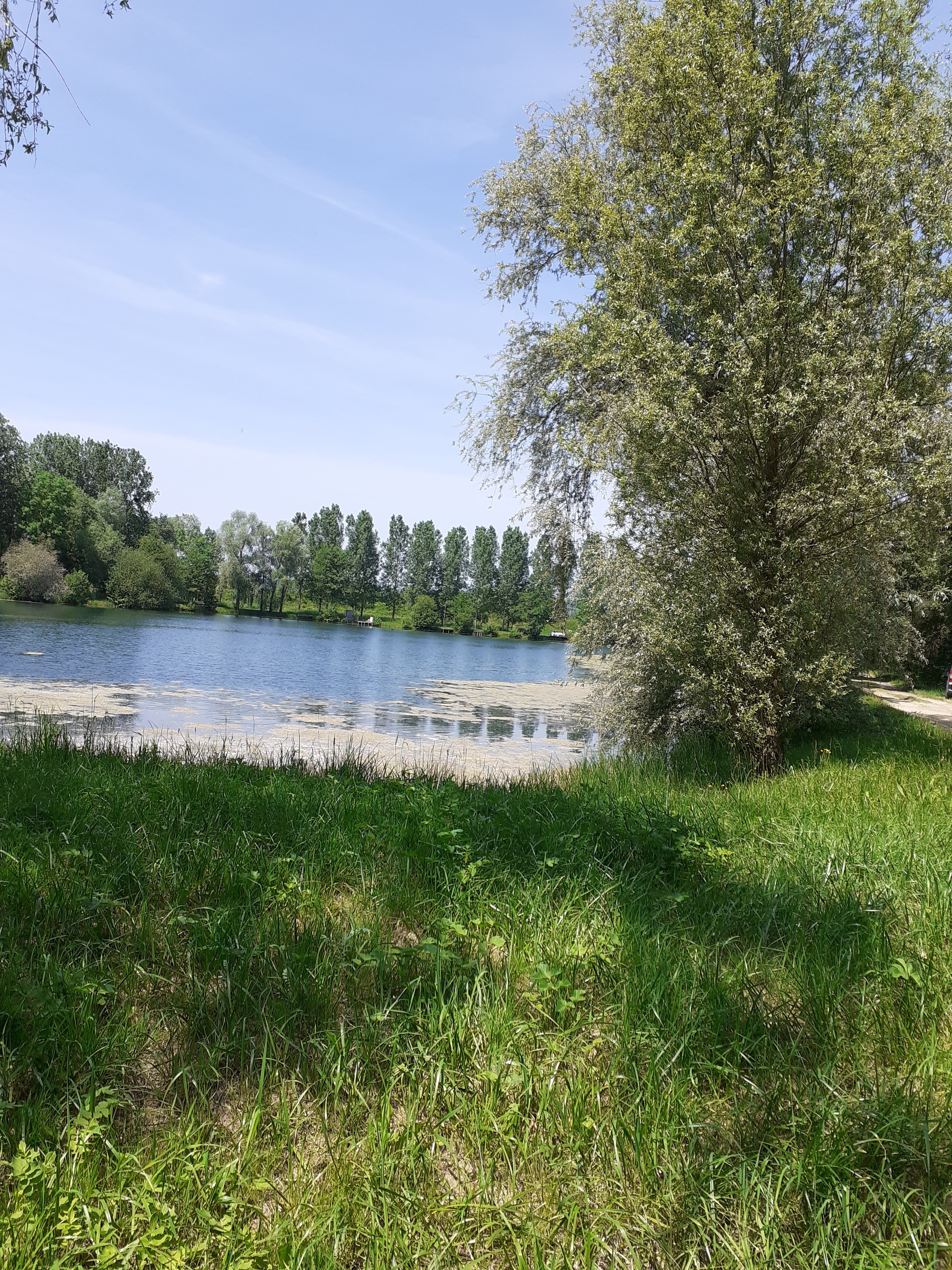 Photo n° 1 de l'avis de Agnes.o fait le 31/05/2023 à 19:27