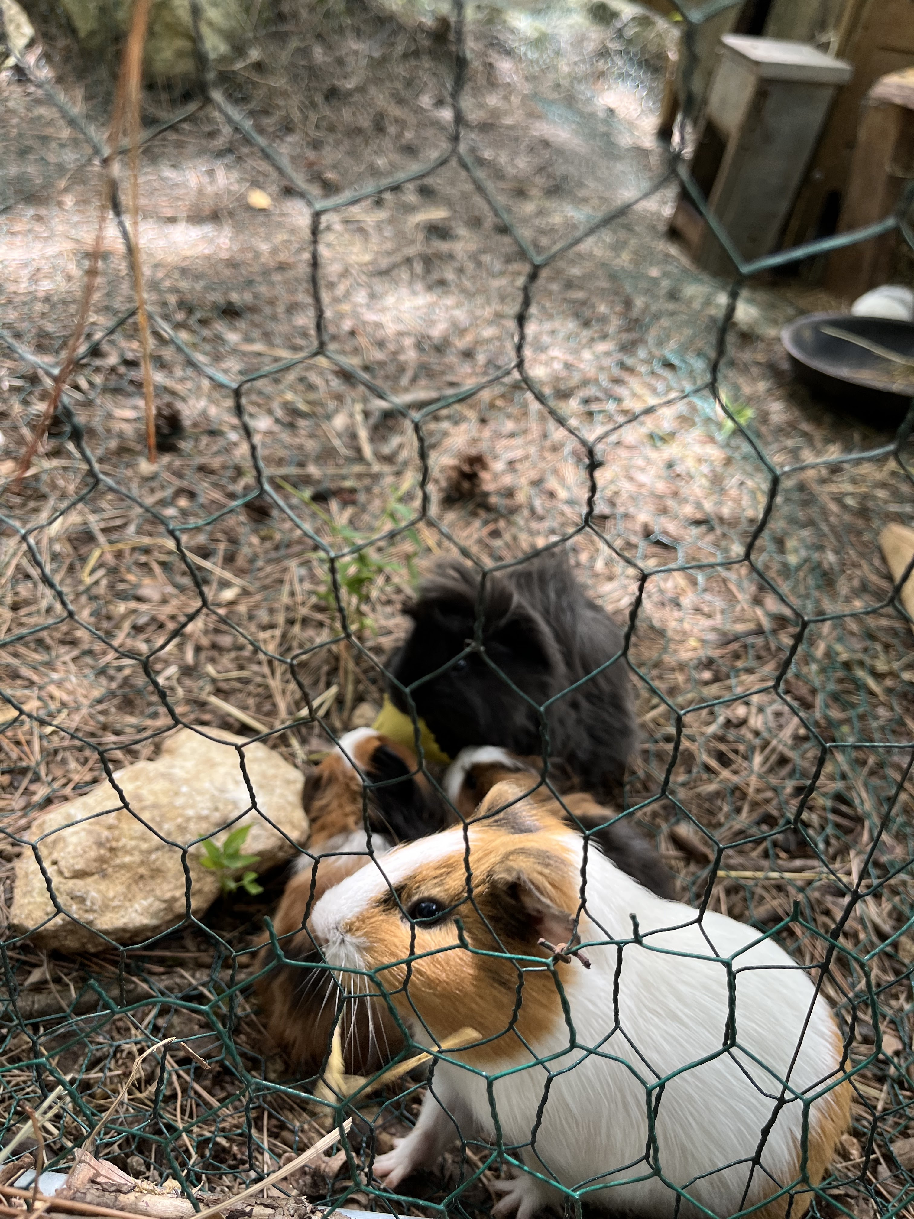 Photo n° 1 de l'avis de pauline.a fait le 04/09/2023 à 20:11