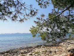 Kozino beach'in fotoğrafı doğal alan içinde bulunmaktadır