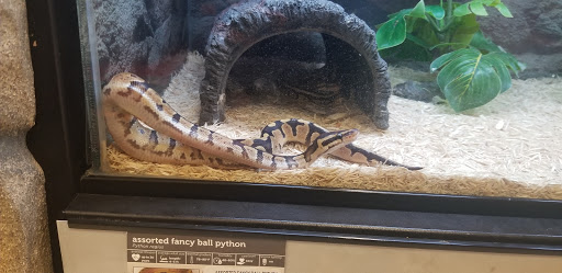 Pet Supply Store «Petco Animal Supplies», reviews and photos, 2765 Santa Rosa Ave, Santa Rosa, CA 95407, USA