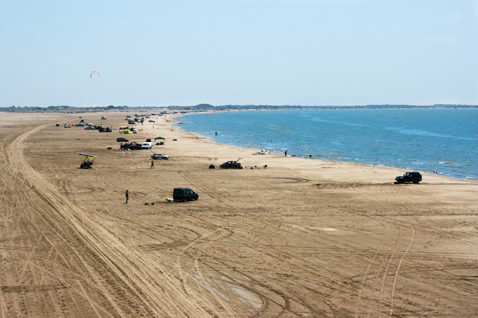 Foto de Plage de Beauduc área selvagem