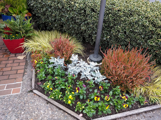 State Park «Bridle Trails State Park», reviews and photos, 5300 116th Ave. N.W., Kirkland, WA 98033, USA