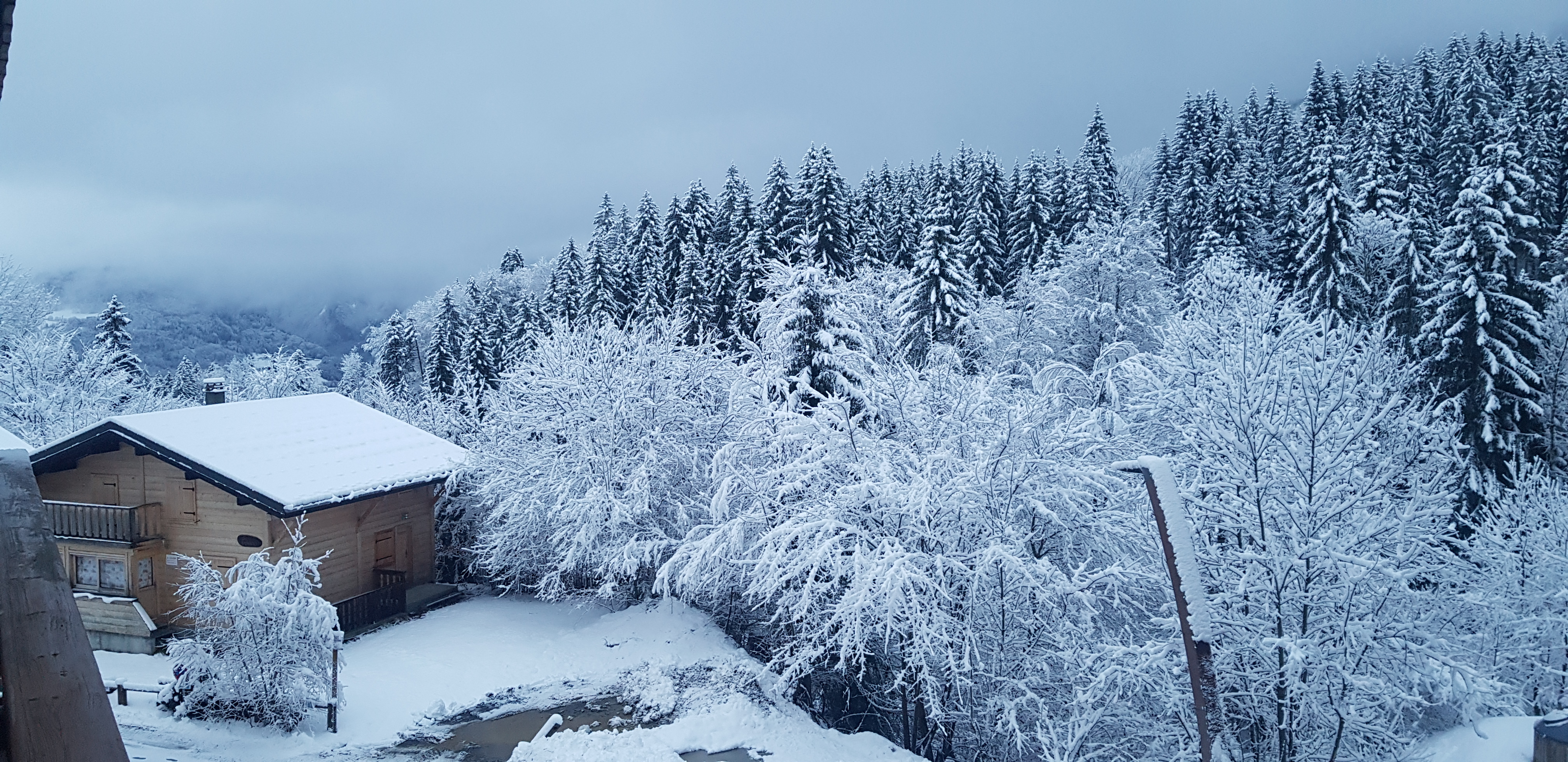 Photo n° 1 de l'avis de Manfred.e fait le 19/01/2022 à 20:34