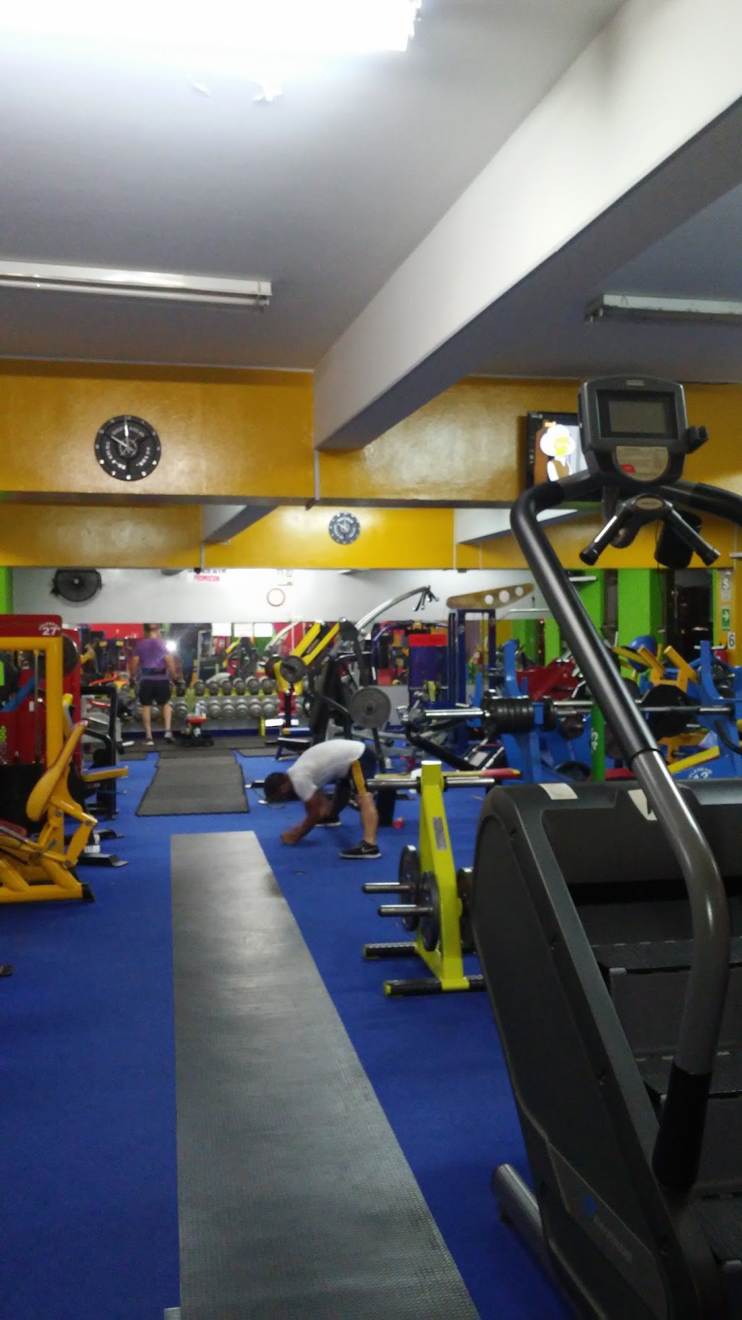 JULES GYM