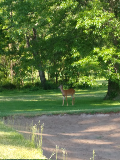 Golf Course «Christopher Morley Park Golf», reviews and photos, 500 Searingtown Rd, Roslyn, NY 11576, USA