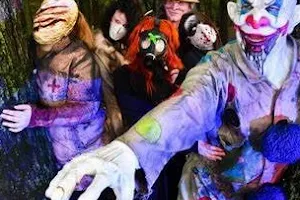 Spider Hill Haunted Attractions image