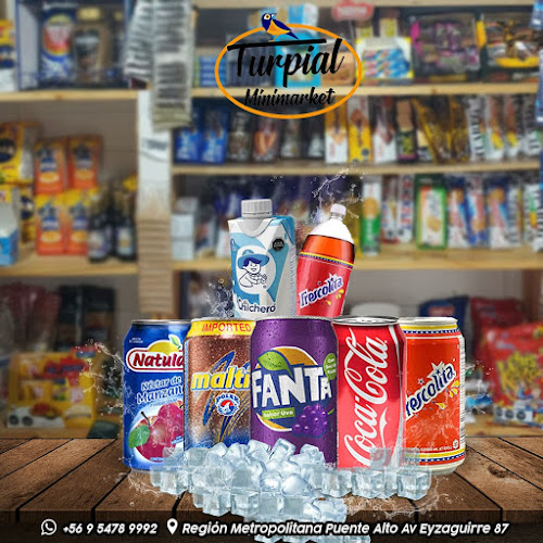 Turpial Minimarket - Puente Alto