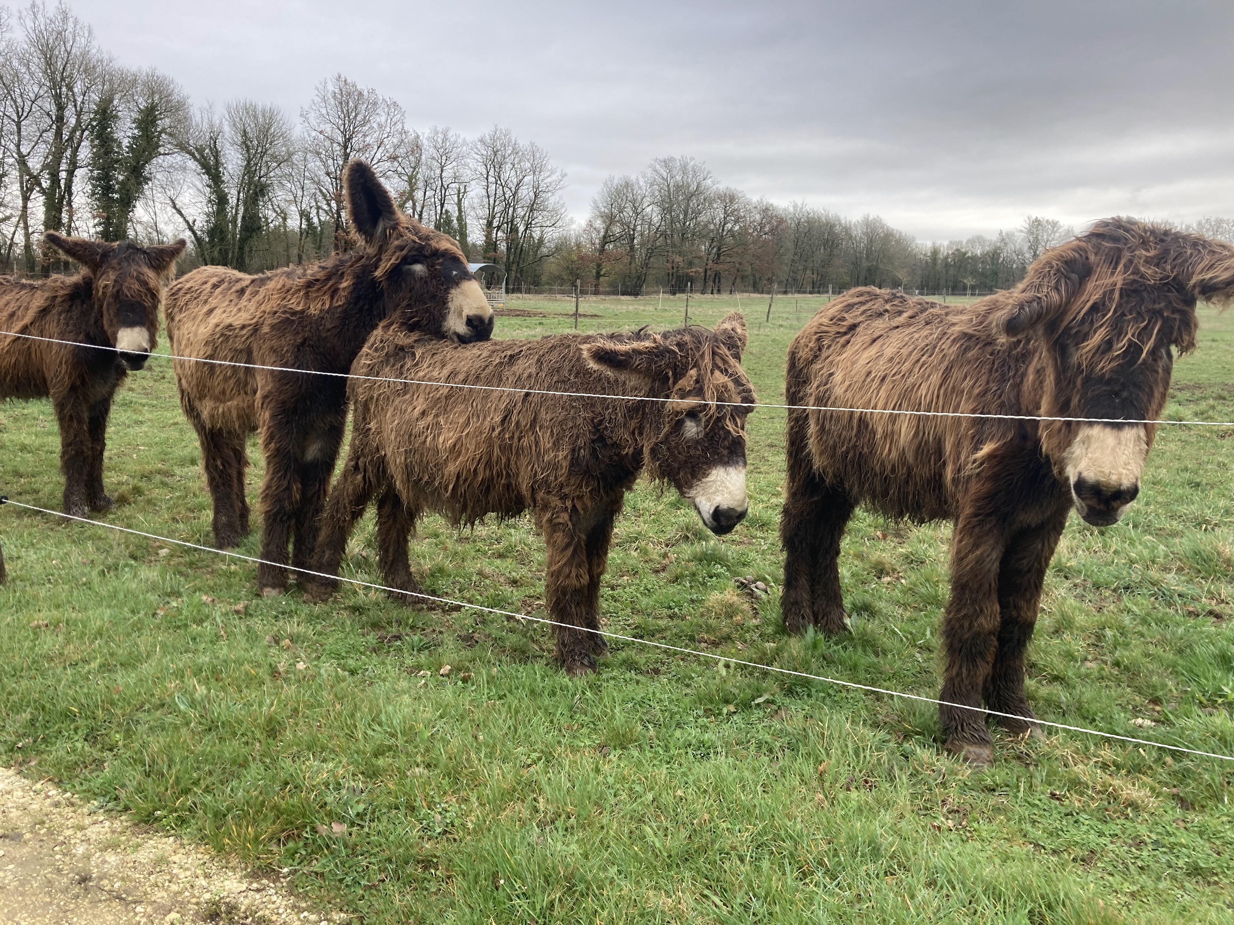 Photo n° 1 de l'avis de Alain.E fait le 18/02/2022 à 22:46