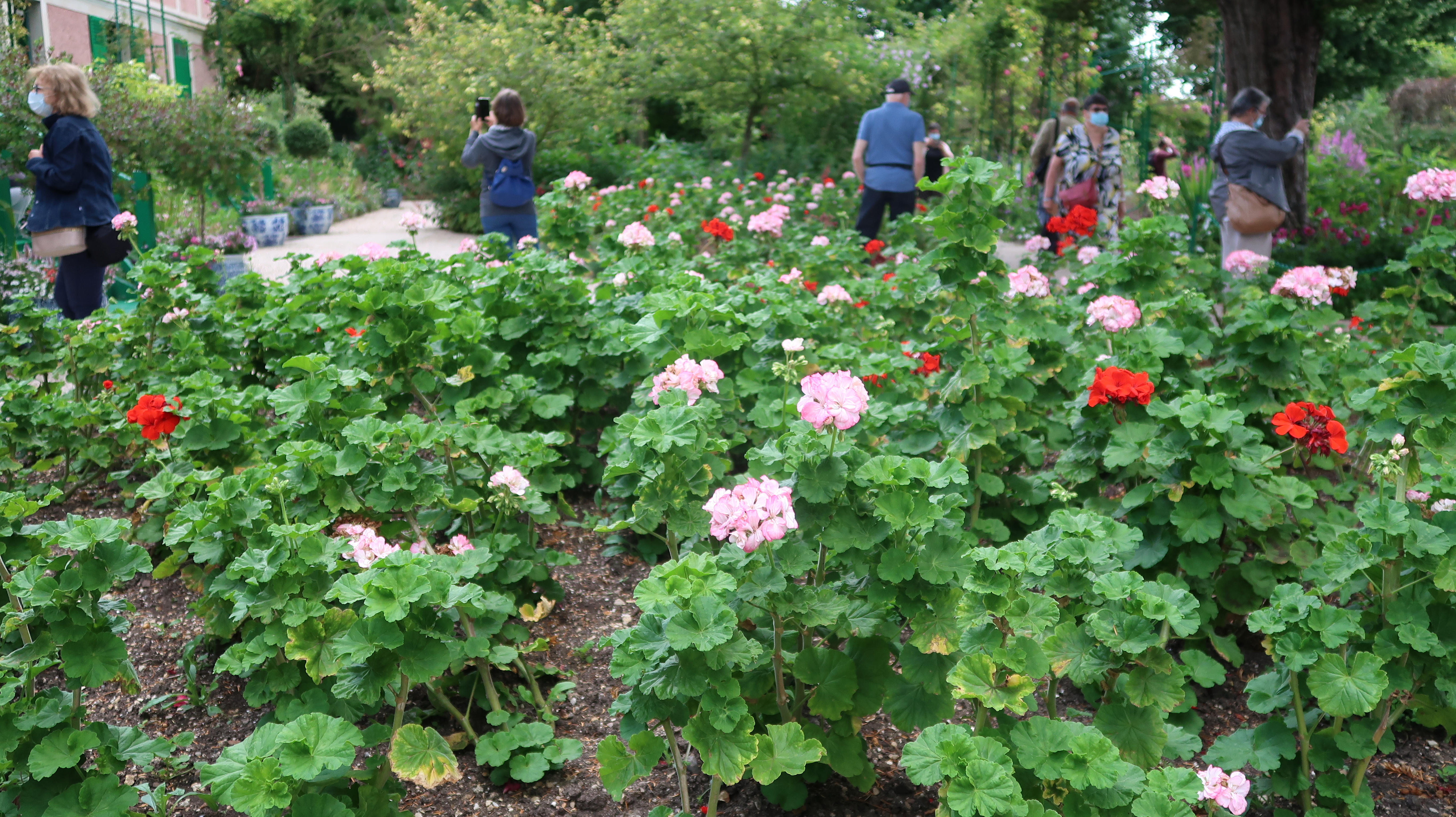 Photo n° 3 de l'avis de Sevi.n fait le 07/07/2020 à 18:33