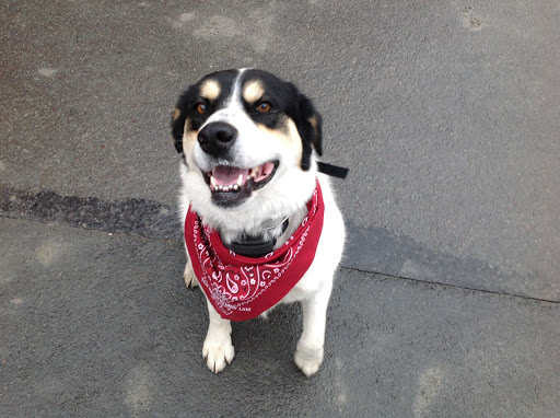 Hardware Store «R3 HARDWARE», reviews and photos, 541 Main St, Honesdale, PA 18431, USA